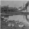 Tudhoe Pond with Ducks c.1908
