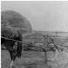 Bishops Close Farm Miss Marshall Hay driving a Hay-Turner c.1920's