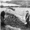 The Tattie Pit Middlestone Moor