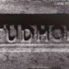 Tudhoe Brick.