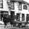 Wheatsheaf Gypsy Geoff Horse