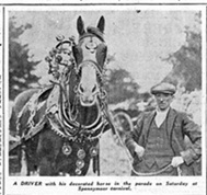 A Driver with his decorated horse in the parade on Saturday at Spennymoor carnival.