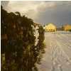 Coulson Street 2002