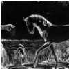 Tudhoe Ghost