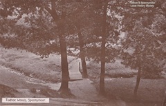 Postcard of Tudhoe Woods. Posted at Spennymoor on 28th August 1911.