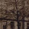 Alderman Wraith School Class, 1950