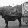 Santucci Alonzi's Horse-drawn Icecream Cart