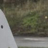 A rebuilt Mosquito gyroplane